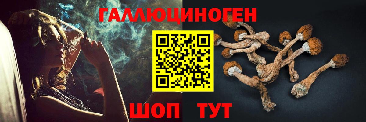 Псилоцибиновые грибы MAGIC MUSHROOMS  Псилоцибиновые грибы ЛСД  закладка  Вход с VPN  Дедовск 
